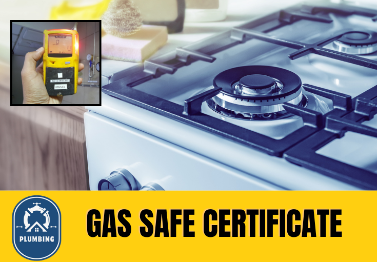 gas safe certificate Birkenhead