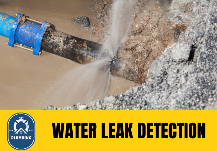 leak detection Birkenhead